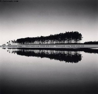 File PSD phong canh rung nui bien 597 (nguyên bản) cho thiết kế