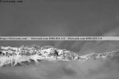 Hình ảnh file gốc phong canh rung nui bien 598 (chất lượng cao)