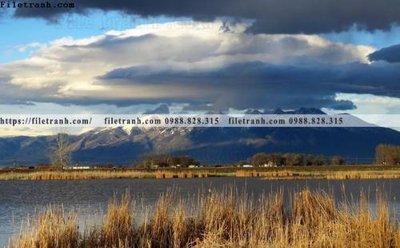 File ảnh phong canh rung nui bien 603 (gốc) in Hiflex