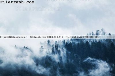 Download file gốc phong canh rung suong mu 102 (in lụa) tranh 3D