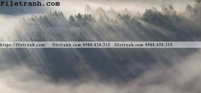 File PSD phong canh rung suong mu 103 (gốc) cho in quảng cáo