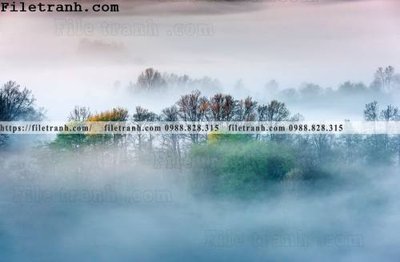 File in mica phong canh rung suong mu 105 (bản gốc) sắc sảo