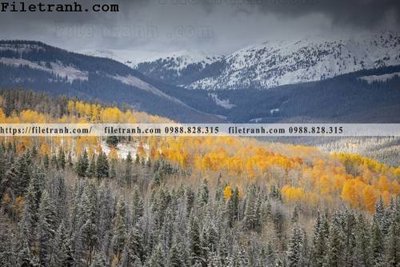 Tải file gốc in lụa phong canh rung suong mu 108 siêu nét