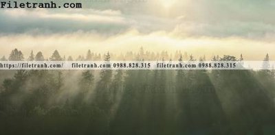 File gốc phong canh rung suong mu 111 (ảnh chi tiết) để in ấn