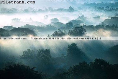 File tranh phong canh rung suong mu 117 (ảnh gốc) chi tiết rõ ràng