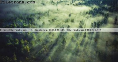 File gốc phong canh rung suong mu 119 (in mica) trang trí