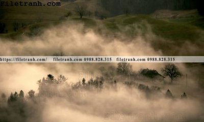 File tranh phong canh rung suong mu 125 (ảnh gốc) độ nét vượt trội