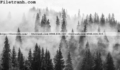 File tranh phong canh rung suong mu 130 (ảnh gốc) in trần 3D