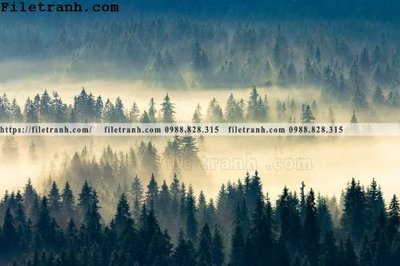 Tải file phong canh rung suong mu 132 (gốc) in trên mọi chất liệu