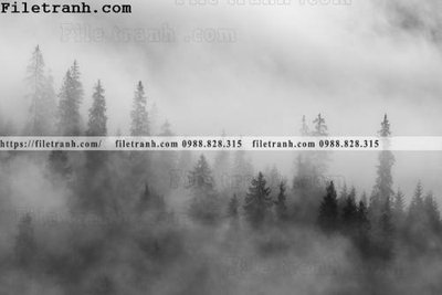 Download file phong canh rung suong mu 133 (chuẩn in) phong canh rung suong mu 133