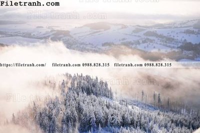 File in trần phong canh rung suong mu 136 (bản gốc) bầu trời