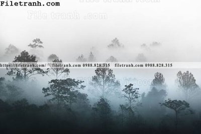 File tranh phong canh rung suong mu 139 (gốc) chủ đề tĩnh vật