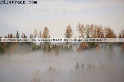 Hình ảnh file gốc in lụa phong canh rung suong mu 151