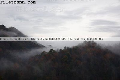 Hình ảnh file gốc in lụa phong canh rung suong mu 159