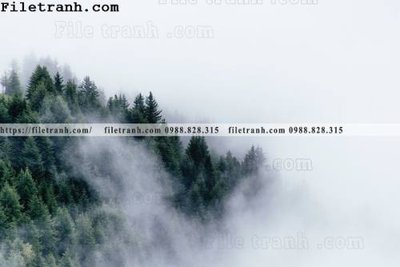 Tải file phong canh rung suong mu 160 (gốc) làm file in ấn