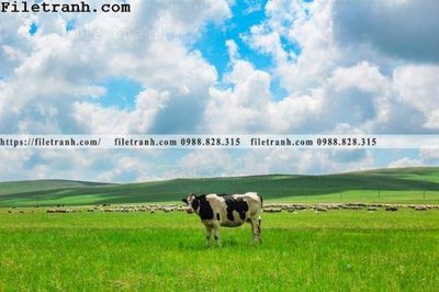 File gốc phong canh thao nguyen Mong Co 101 (ảnh chi tiết) để in ấn