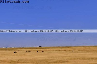 File gốc phong canh thao nguyen Mong Co 104 (trang trí) cho phòng khách