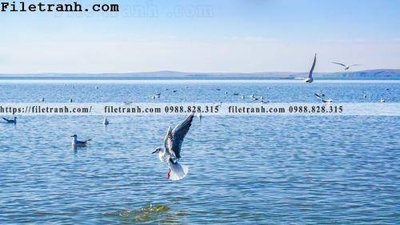 Tải file phong canh thao nguyen Mong Co 114 (ảnh gốc) 300dpi phong canh thao nguyen Mong Co 114