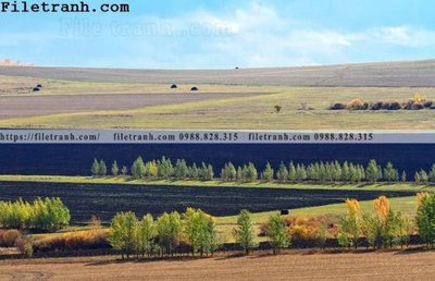 Tải file gốc phong canh thao nguyen Mong Co 115 (in tráng gương) cao cấpFile gốc phong canh thao nguyen Mong Co 115 (in ấn) phiên bản độc quyền