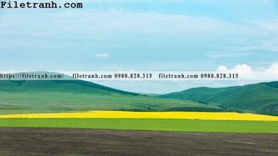 File gốc phong canh thao nguyen Mong Co 122 (in tráng gương) ốp tường