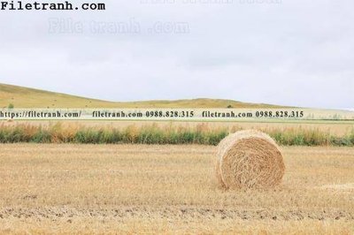 File gốc phong canh thao nguyen Mong Co 126 (PNG) chất lượng cao