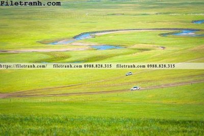 File tranh phong canh thao nguyen Mong Co 127 (bản gốc) treo phòng ăn