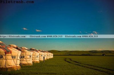 Tệp tin gốc phong canh thao nguyen Mong Co 138 (dùng cho in) phong canh thao nguyen Mong Co 138