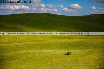 File tranh phong canh thao nguyen Mong Co 139 (gốc) in trên kính