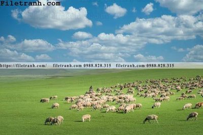 File ảnh phong canh thao nguyen Mong Co 144 (gốc) in PP, decal