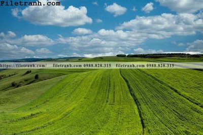 Download file phong canh thao nguyen Mong Co 156 (gốc) cho xưởng in