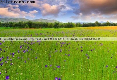 Tải file phong canh thao nguyen Mong Co 162 (gốc) in ấn ngay lập tức