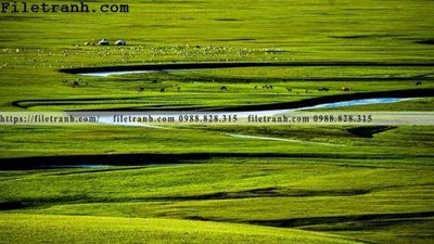 File gốc phong canh thao nguyen Mong Co 170 (thiết kế) cho in ấn