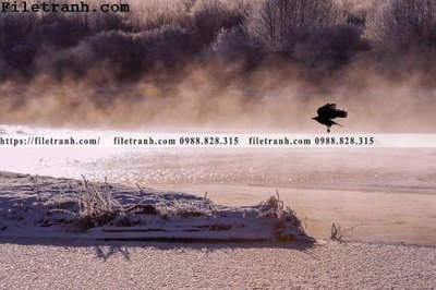 Tải file phong canh thao nguyen Mong Co 184 (gốc) chủ đề hoa sen