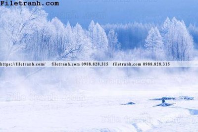 File ảnh phong canh thao nguyen Mong Co 186 (gốc) in backdrop sự kiện