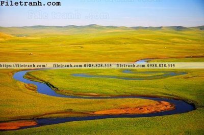 File tranh phong canh thao nguyen Mong Co 195 (bản gốc) in canvas