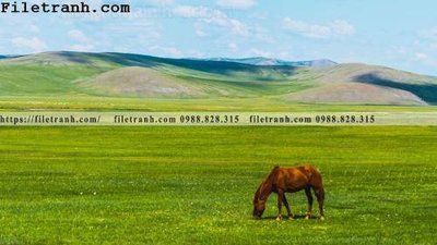 File in lụa phong canh thao nguyen Mong Co 203 (hoa văn) phong canh thao nguyen Mong Co 203