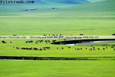 Tải file phong canh thao nguyen Mong Co 204 (gốc) in ấn ngay lập tức