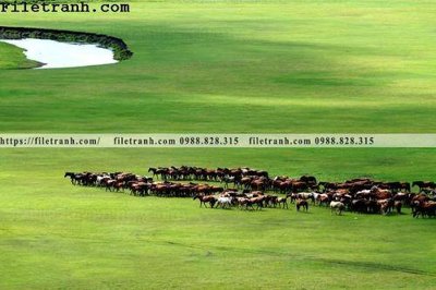 File gốc phong canh thao nguyen Mong Co 205 (phiên bản chuẩn) để in ấn