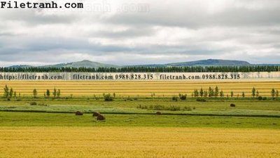 Tải file phong canh thao nguyen Mong Co 210 (PSD) cho in tranh 3D