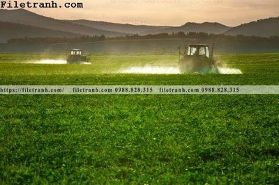 Chi tiết file tranh tráng gương phong canh thao nguyen Mong Co 214 (ảnh gốc)