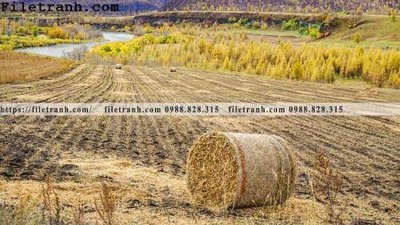 File in trần phong canh thao nguyen Mong Co 216 (file gốc) chủ đề vũ trụ