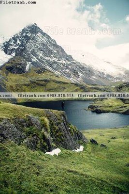 File gốc phong canh tranh don dang dung 520 (chuẩn CMYK) cho nhà in