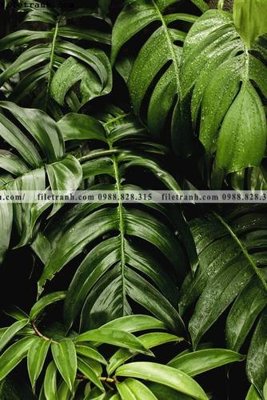 File tranh phong canh tranh don dang dung 528 (ảnh gốc) cho in ấn kỹ thuật số