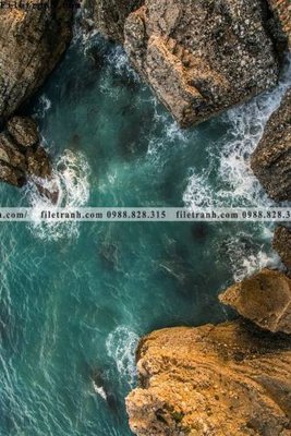 File in trần phong canh tranh don dang dung 534 (bản gốc) hoa văn