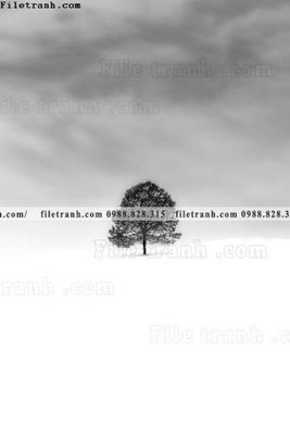 File in trần phong canh tranh don dang dung 548 (bản gốc) phong cảnh