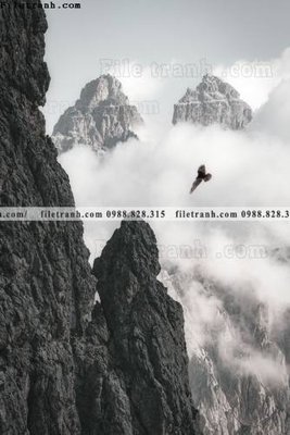 File PSD phong canh tranh don dang dung 549 (bản gốc) chất lượng nhất