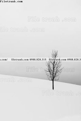 Tải file phong canh tranh don dang dung 556 (gốc) in ấn chất lượng