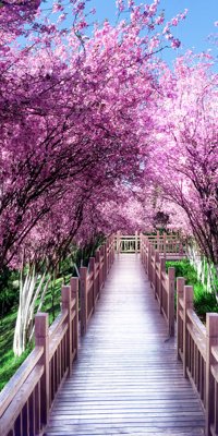 File gốc File phong thủy đứng thác nước PTD363 (chuẩn màu) cho in offset