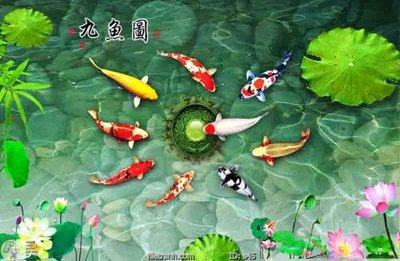 File gốc Tranh cửu ngư quần hội sen cá S45 (PNG) chất lượng cao