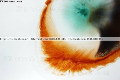 File gốc in tráng gương tac pham nghe thuat truu tuong 526 chi tiết